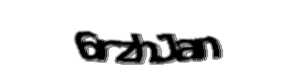 Security check image, please type the characters shown